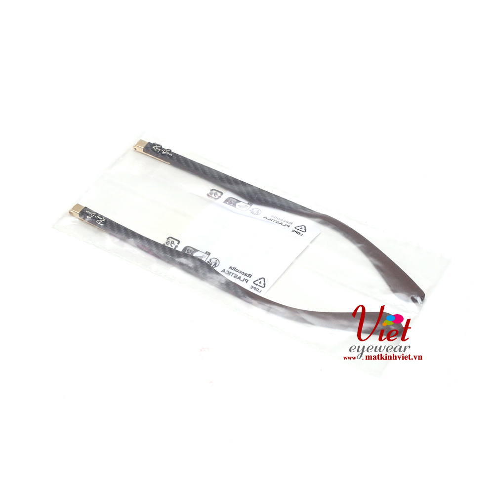 Càng kính Ray-Ban RB8313 001/51